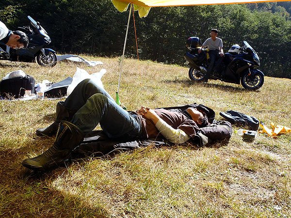 お昼寝中のカメさん